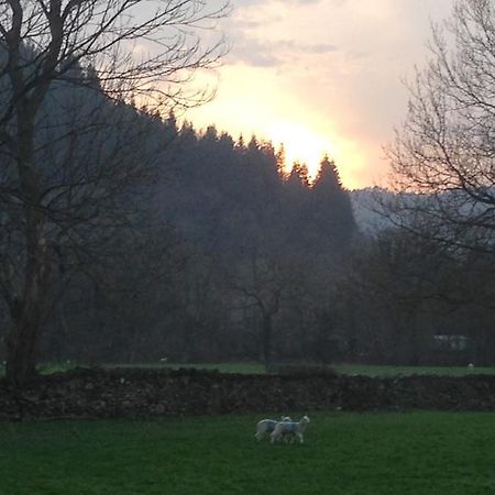 Tyddyn Bach Barn Villa Betws-y-Coed Oda fotoğraf