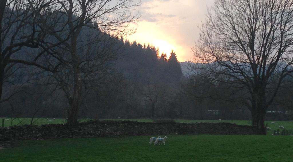 Tyddyn Bach Barn Villa Betws-y-Coed Oda fotoğraf